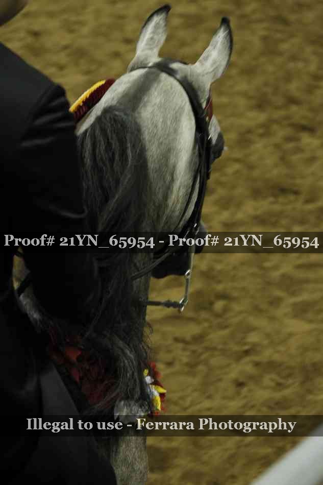 Proof 21YN_65954