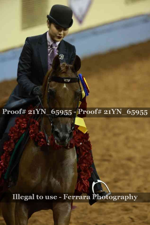 Proof 21YN_65955