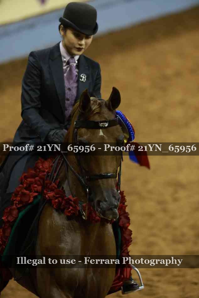 Proof 21YN_65956