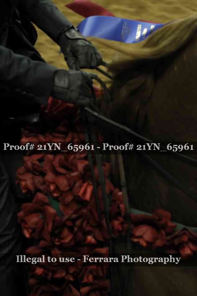 Proof 21YN_65961