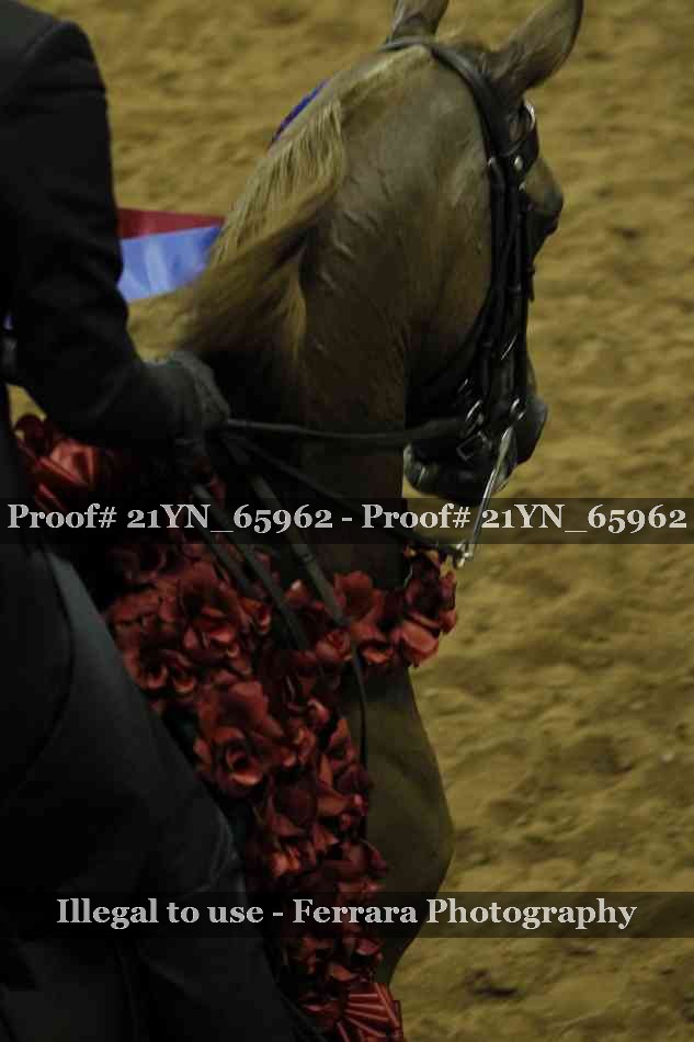 Proof 21YN_65962