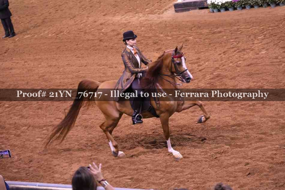 Proof 21YN_76717
