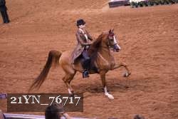 21YN_76717 proof