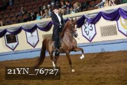 21YN_76727 proof