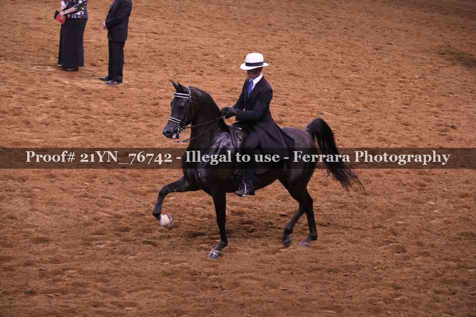 Proof 21YN_76742