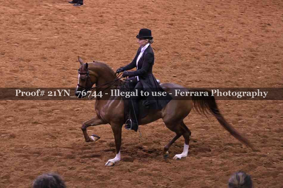 Proof 21YN_76744