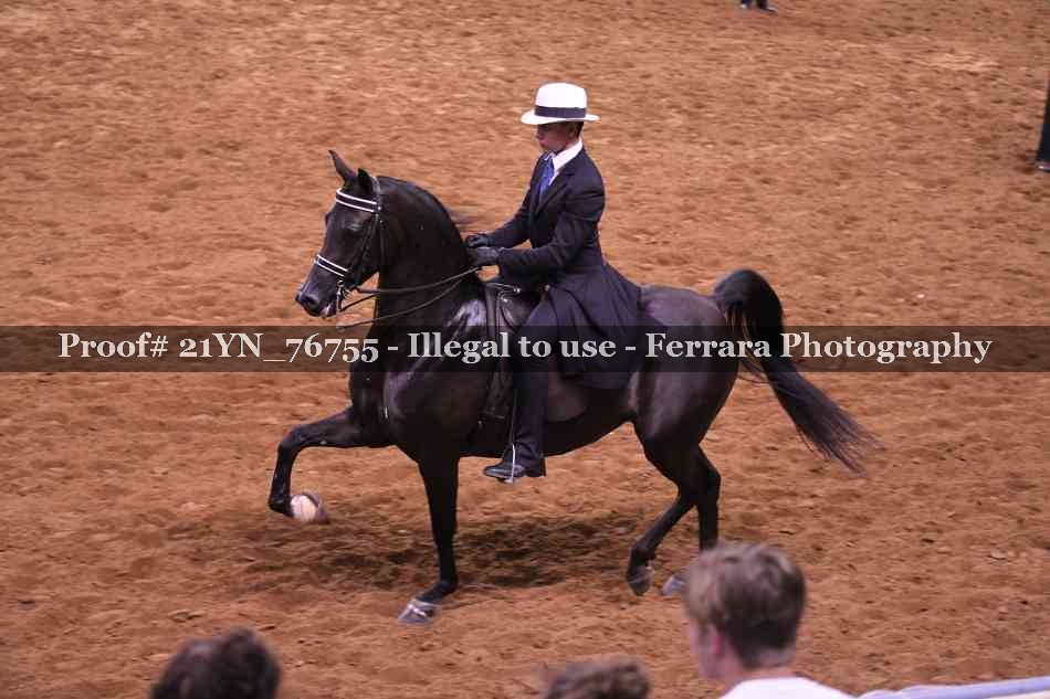 Proof 21YN_76755