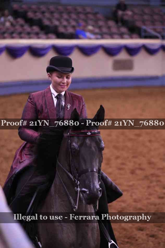 Proof 21YN_76880