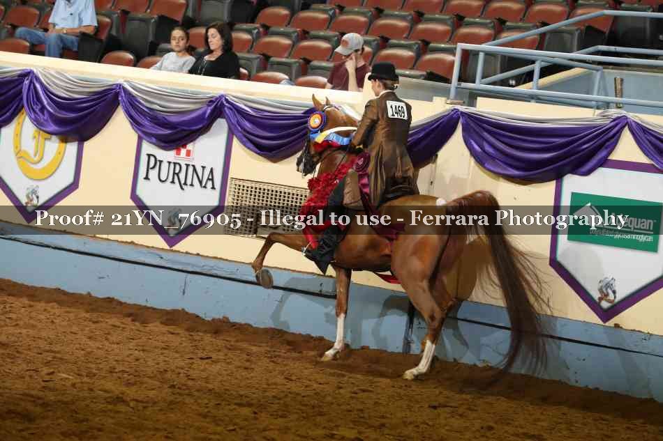 Proof 21YN_76905