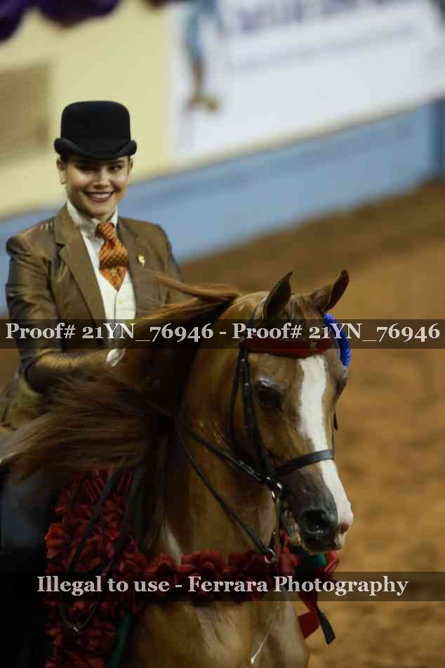 Proof 21YN_76946