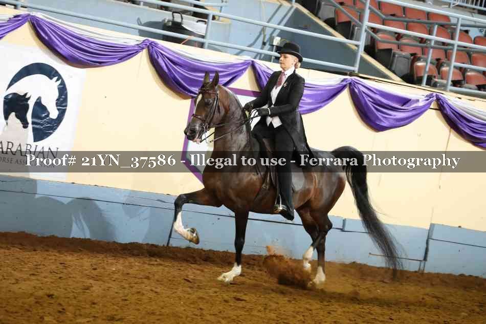Proof 21YN_37586