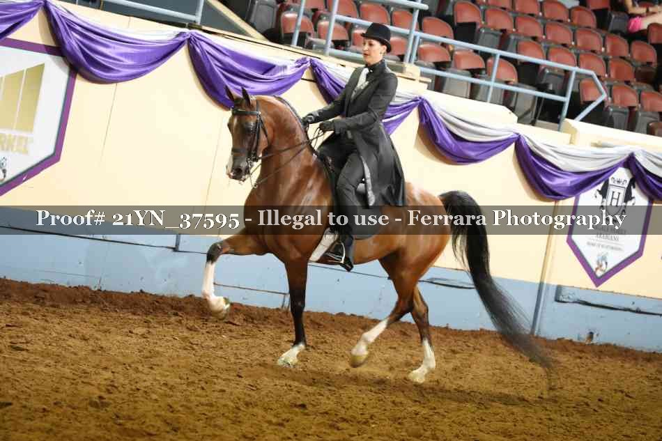 Proof 21YN_37595