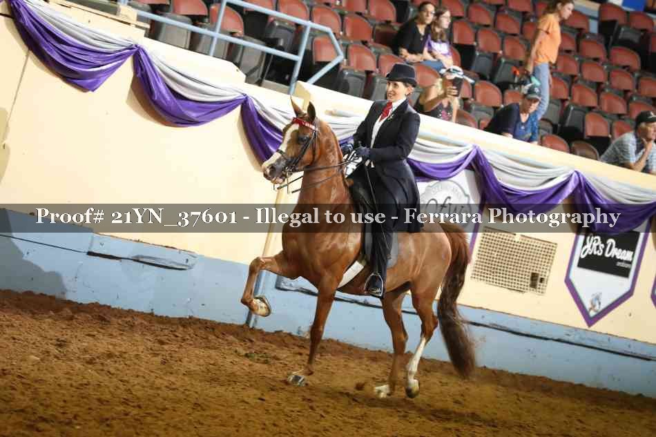 Proof 21YN_37601