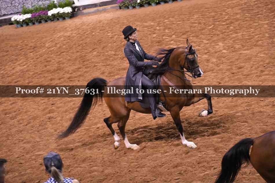 Proof 21YN_37631