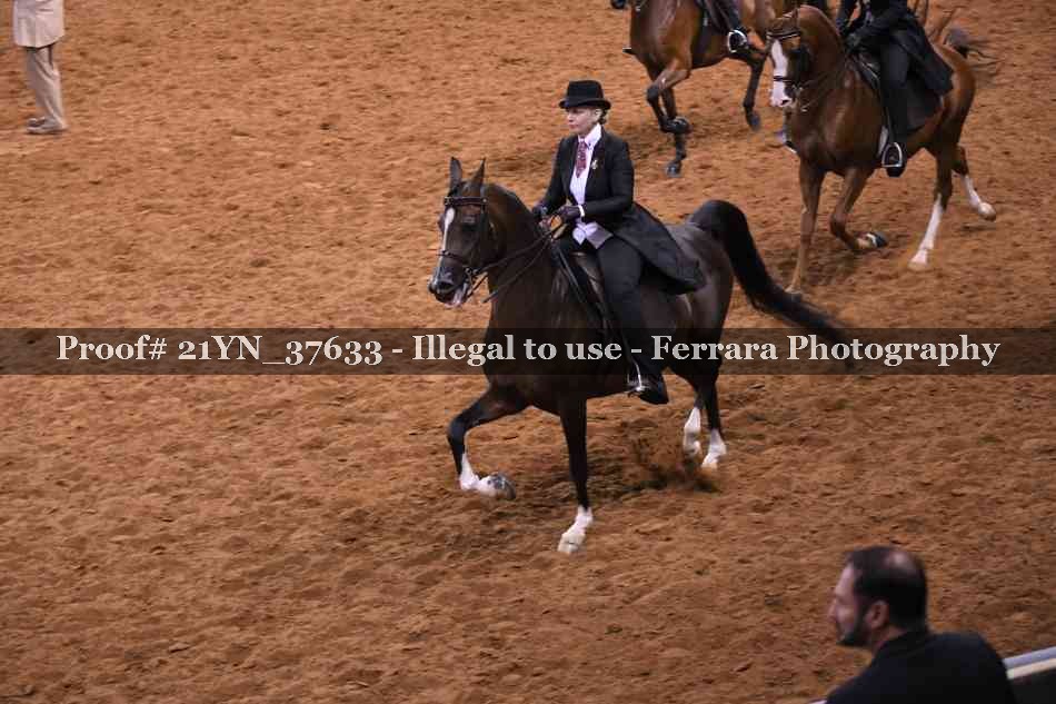 Proof 21YN_37633