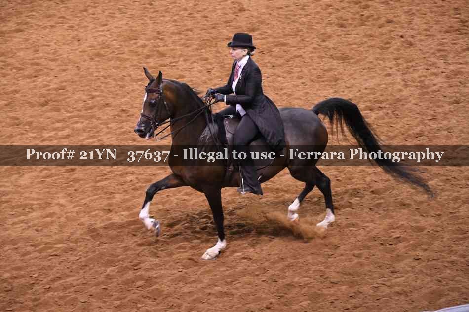 Proof 21YN_37637