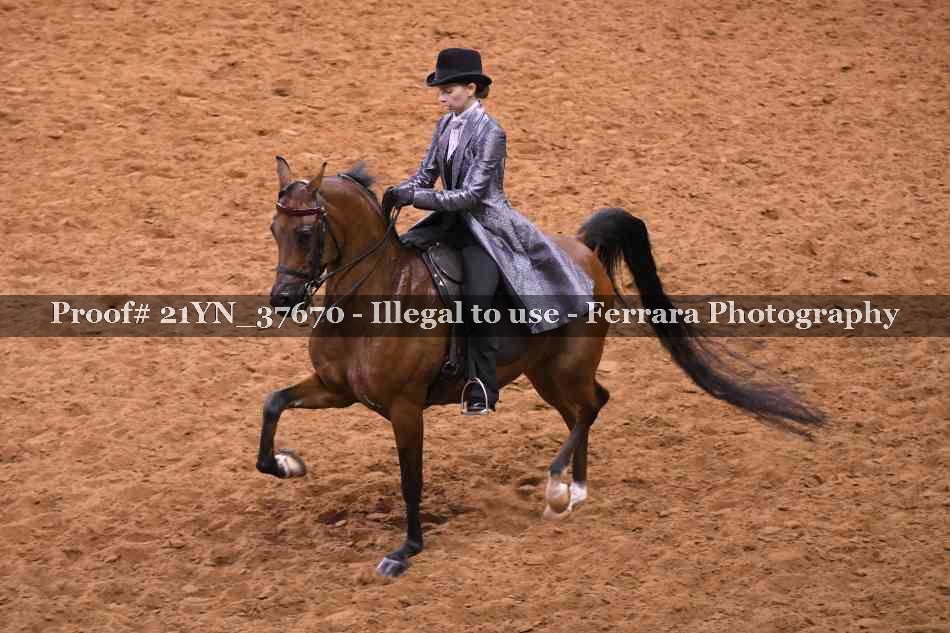 Proof 21YN_37670
