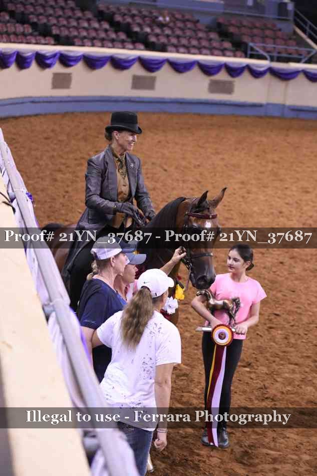 Proof 21YN_37687