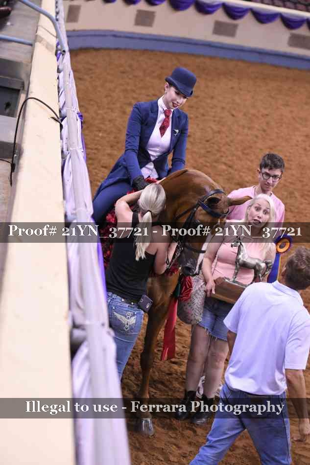 Proof 21YN_37721