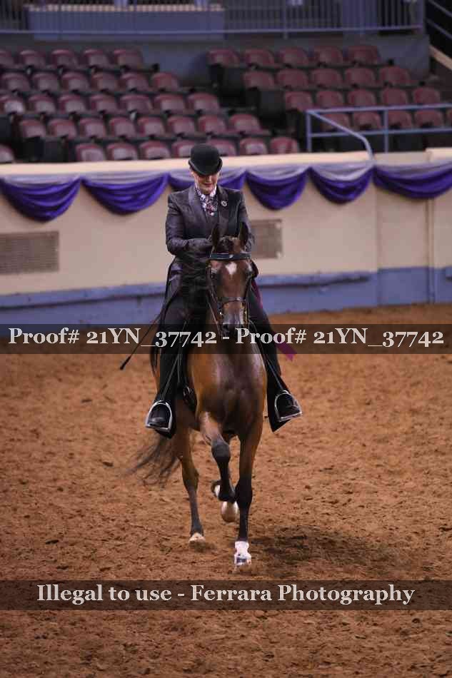 Proof 21YN_37742