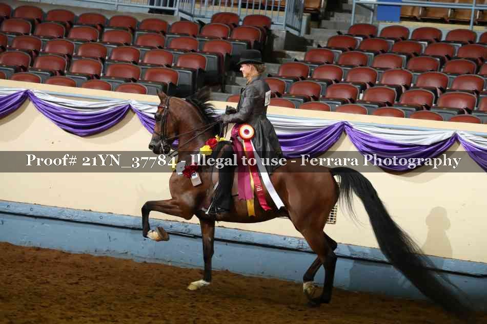 Proof 21YN_37784