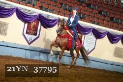 21YN_37795 proof