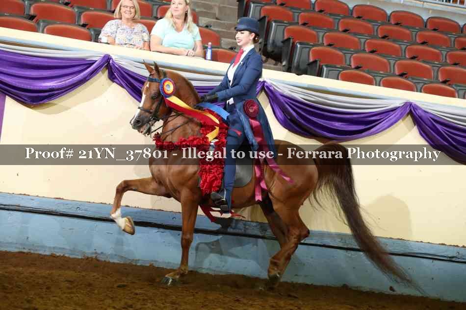 Proof 21YN_37801