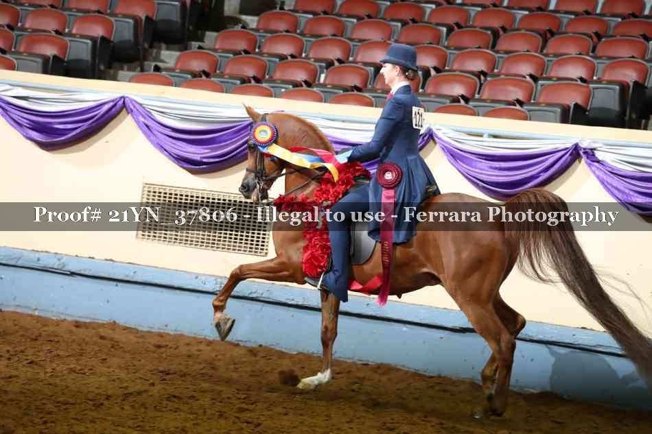 Proof 21YN_37806