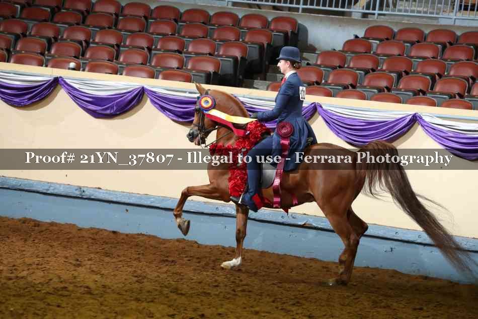 Proof 21YN_37807