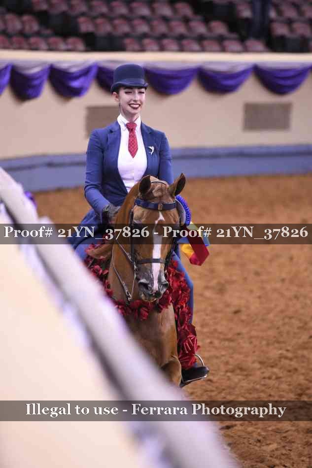 Proof 21YN_37826