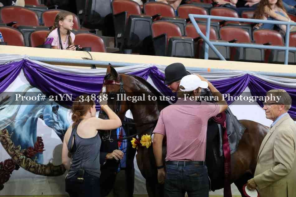 Proof 21YN_34838