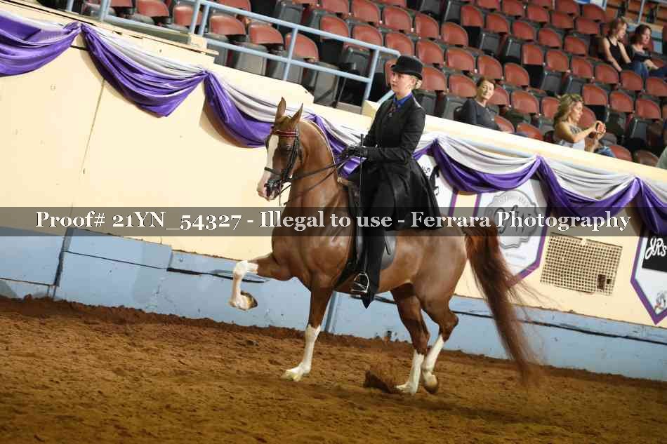 Proof 21YN_54327