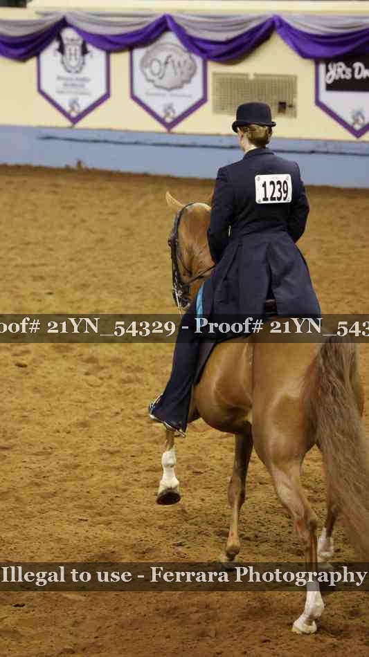 Proof 21YN_54329