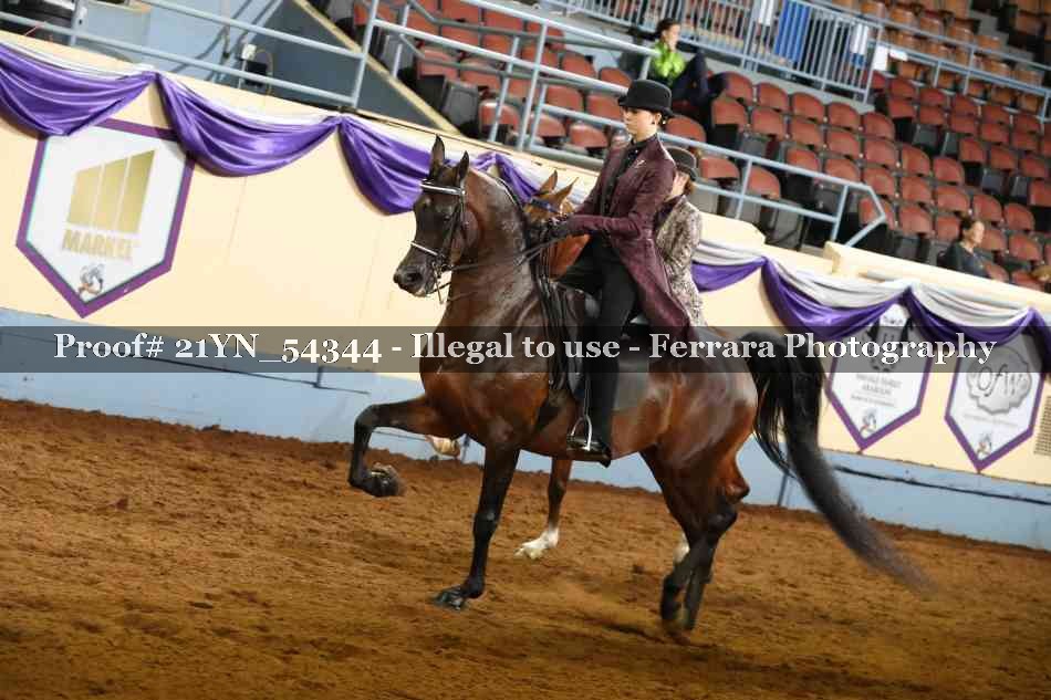 Proof 21YN_54344