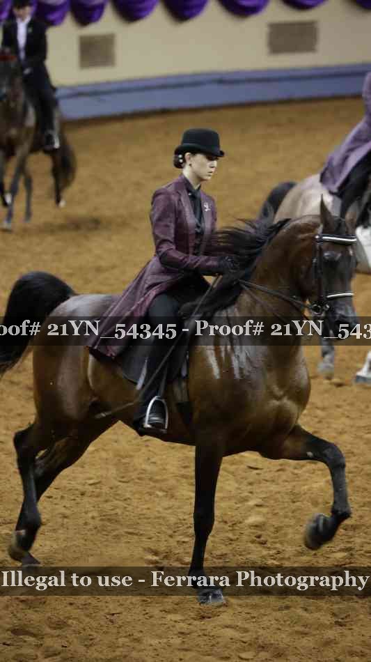 Proof 21YN_54345