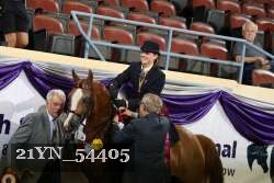 21YN_54405 proof