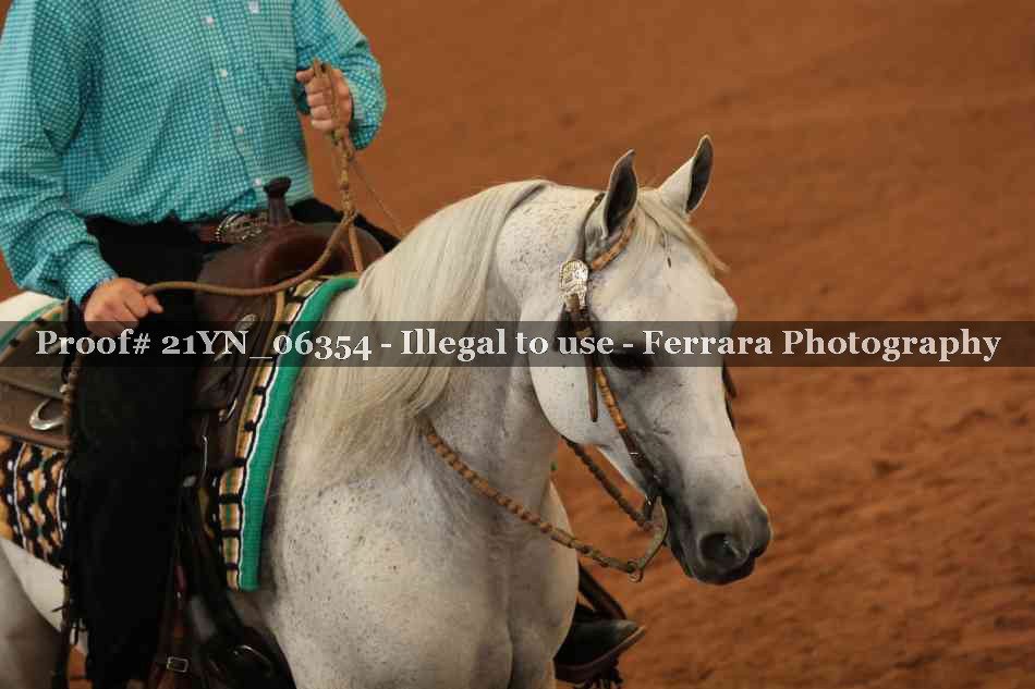 Proof 21YN_06354