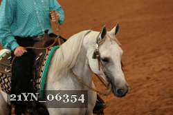 21YN_06354 proof