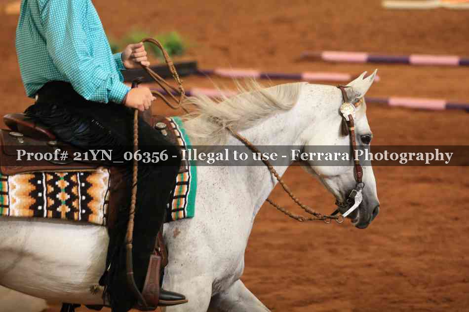 Proof 21YN_06356