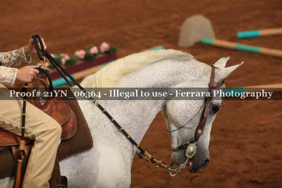 Proof 21YN_06364