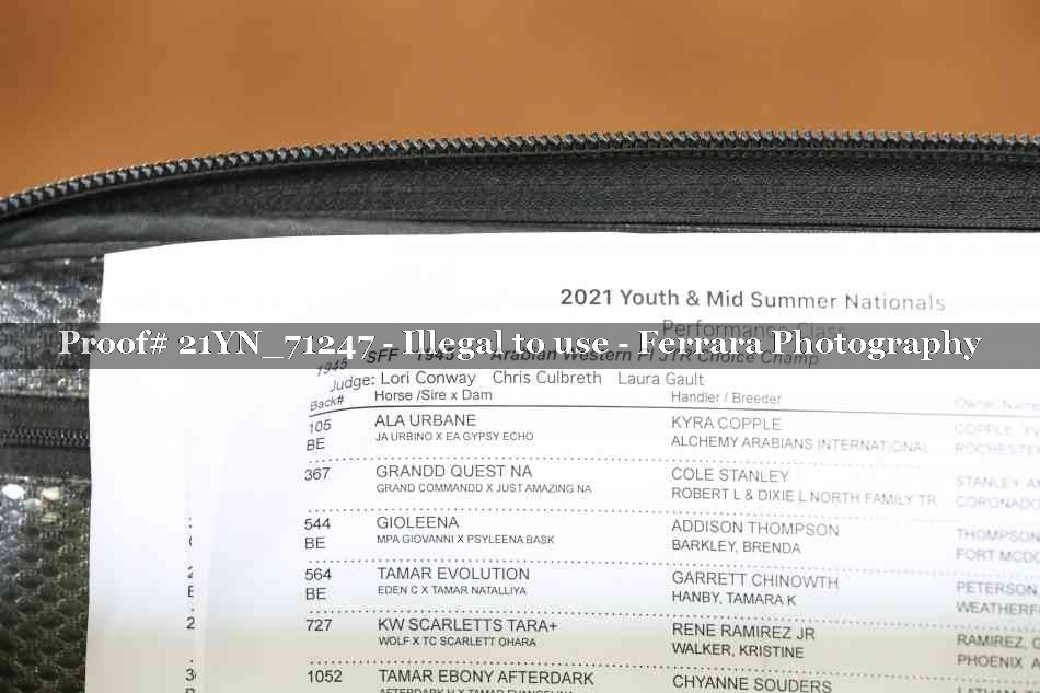 Proof 21YN_71247