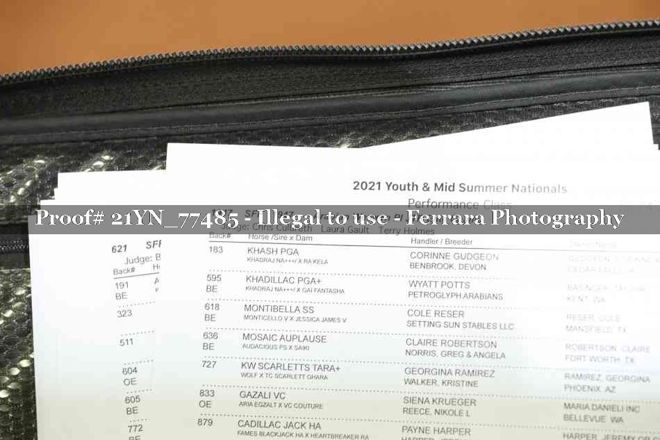 Proof 21YN_77485