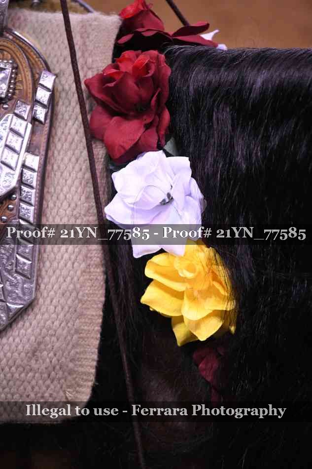 Proof 21YN_77585