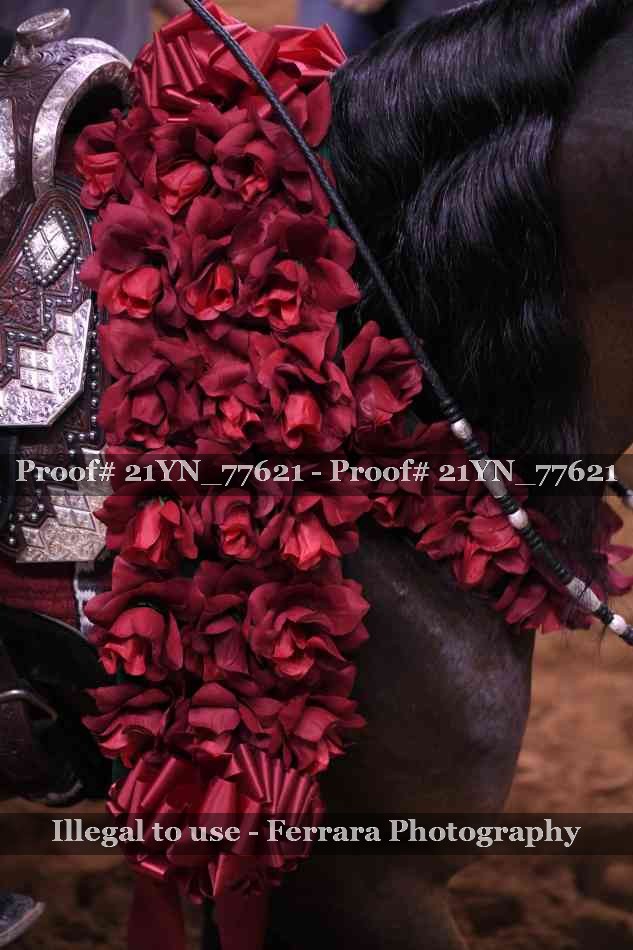 Proof 21YN_77621