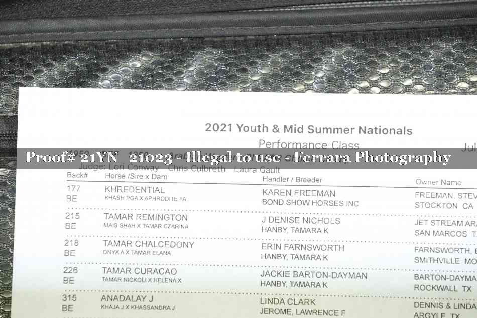 Proof 21YN_21023