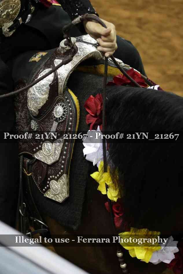 Proof 21YN_21267