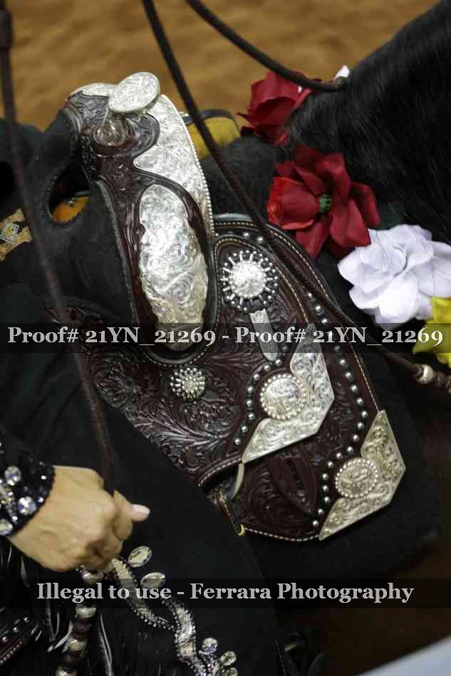 Proof 21YN_21269