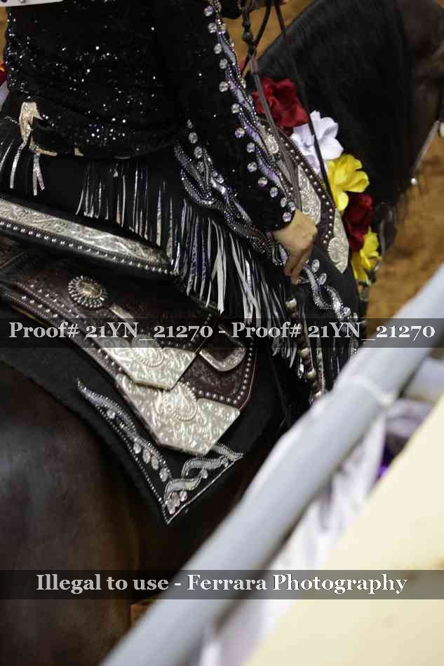 Proof 21YN_21270