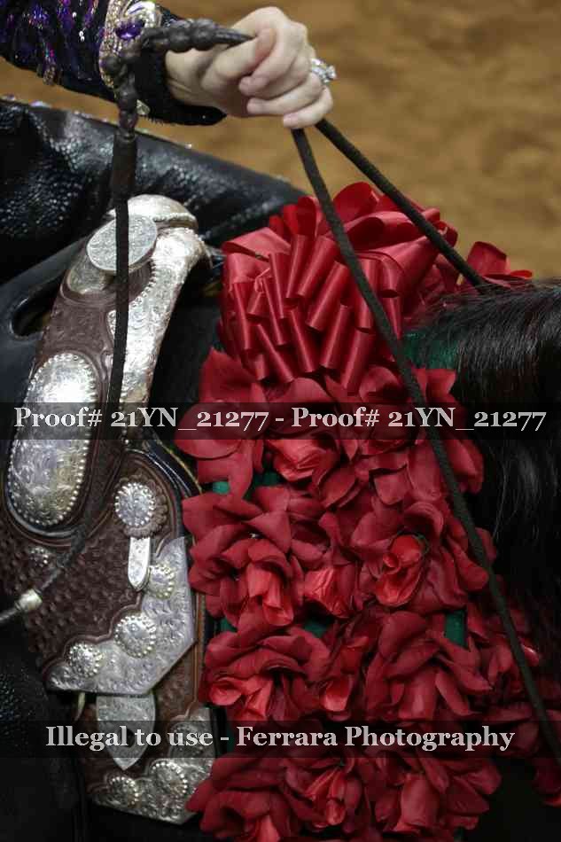 Proof 21YN_21277