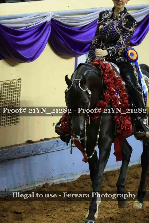 Proof 21YN_21282